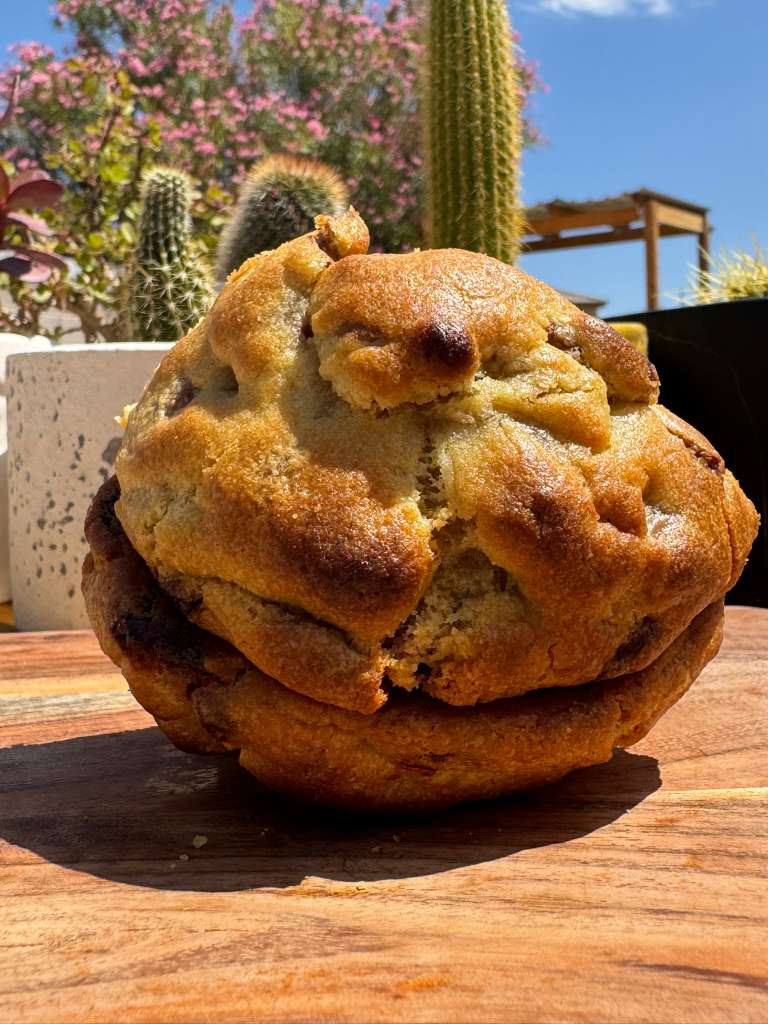 Nutella Chocolate Chip | Cactus Bakey