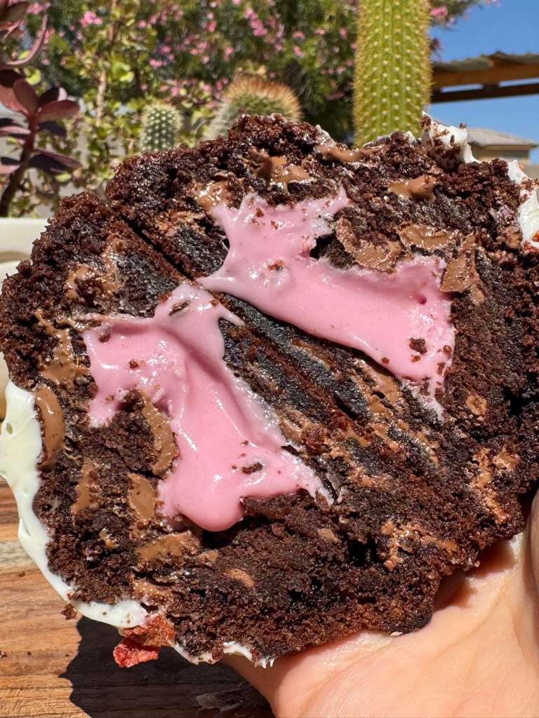Fresa Chocolate | Cactus Bakery