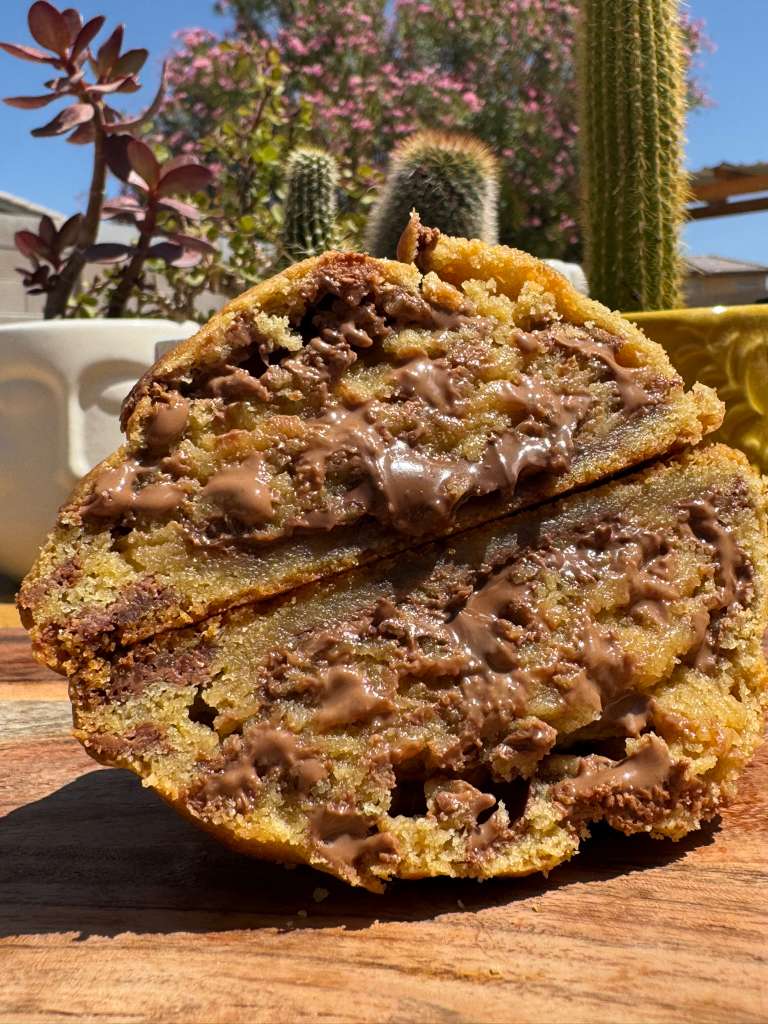 Nutella Chocolate Chip | Cactus Bakey